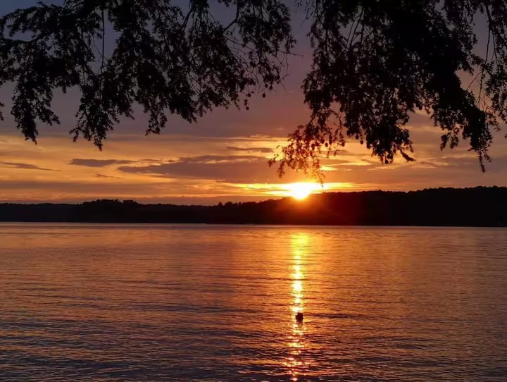 The Lochnest — Three Mile Lake photo 2